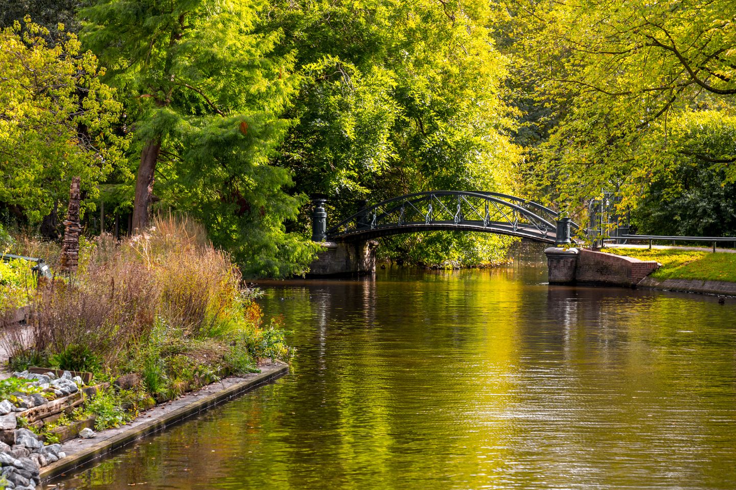 A bridge over the river in the Hortus Botanicus gardens in Amsterdam