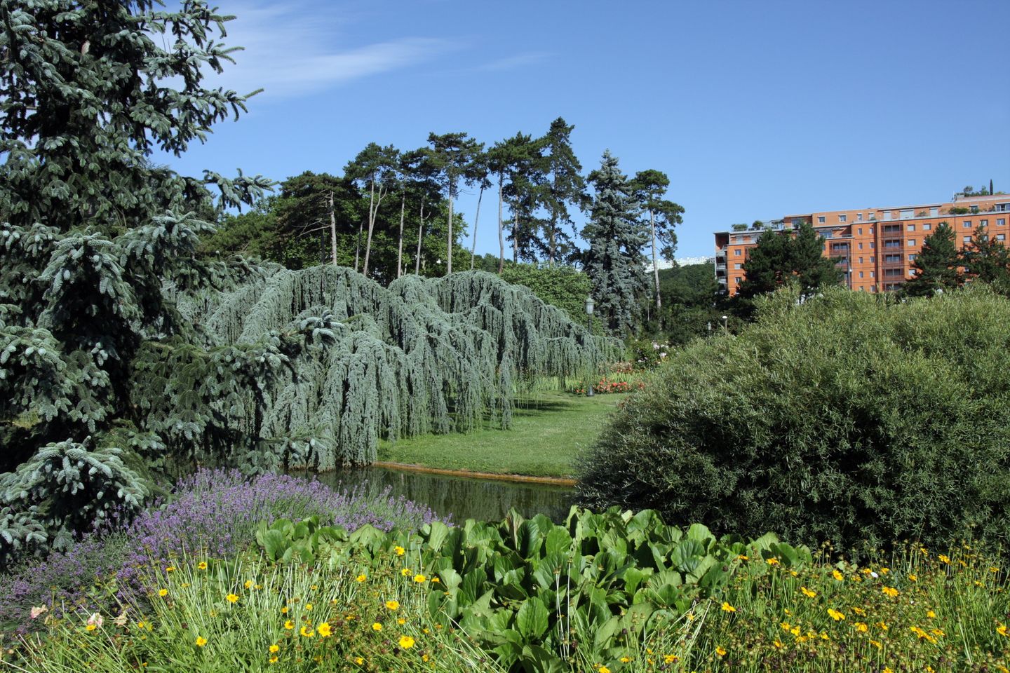 Where to stay in Lyon Trees lining the river in Parc de la Tete dOr in Lyon, France
